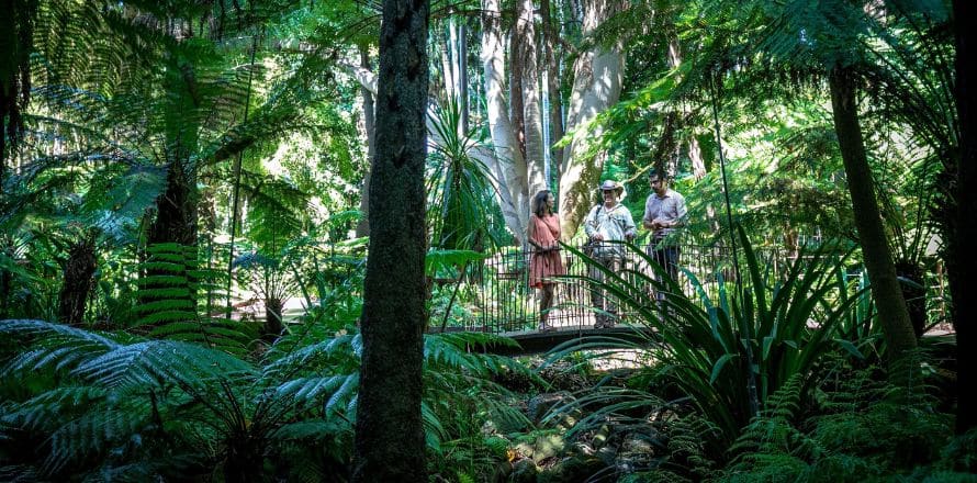 Royal Botanic Gardens