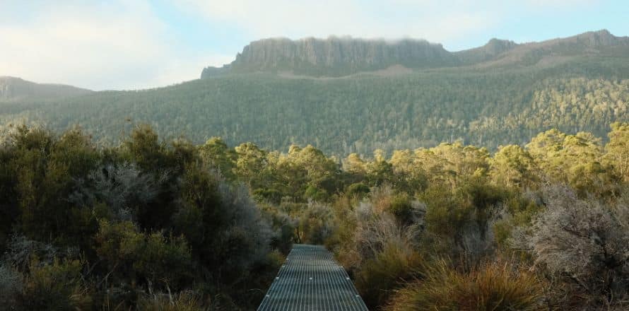 Cradle Mountain Nature's Wonderland