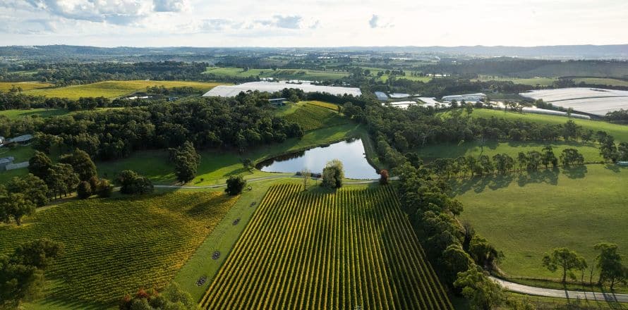 Yarra Valley Wine Tasting and Countryside Charm