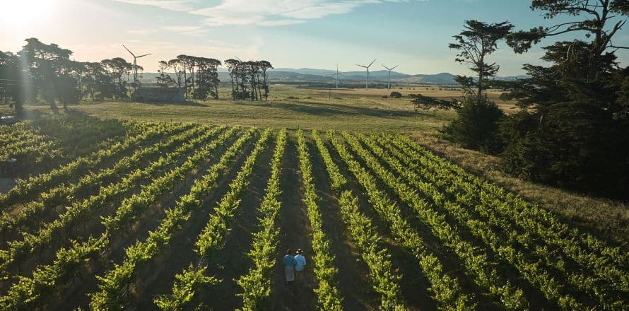 Winery Tours