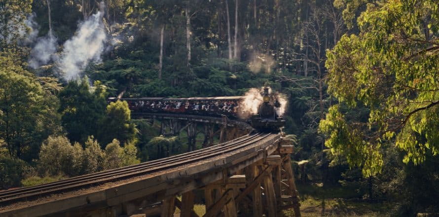 Dandenong Ranges