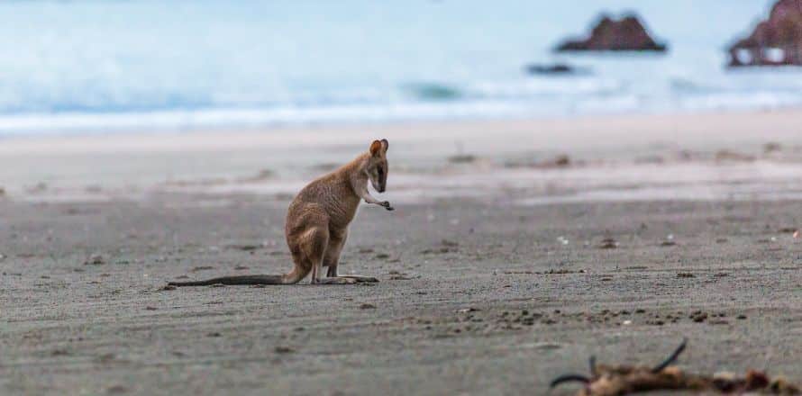 Hiking Etiquette In Australia