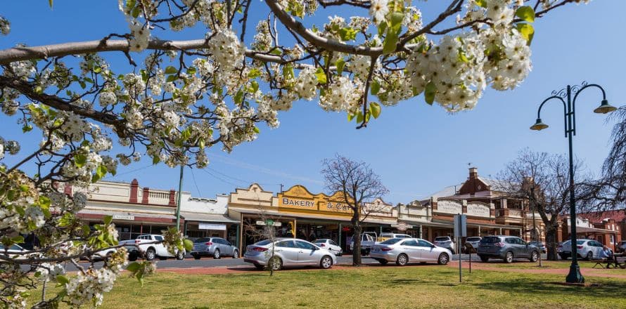 Coolamon