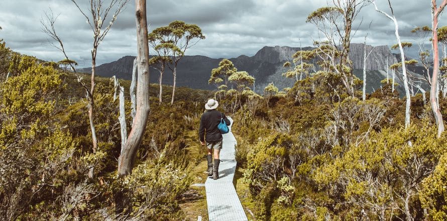 Tasmania - Cradle Mountain-Lake St Clair National Park