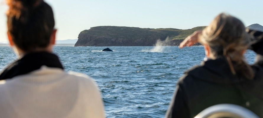 Port Stephens