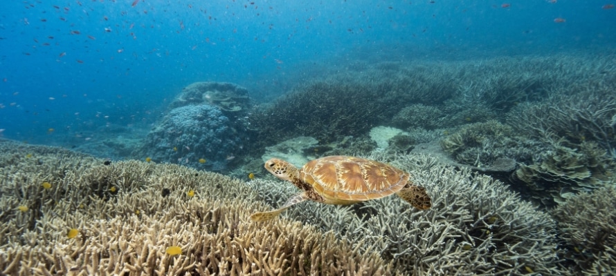 Great Barrier Reef