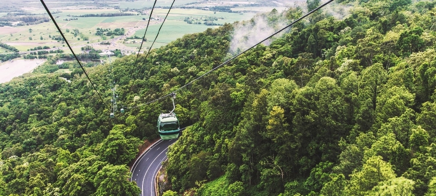 Skyrail Rainforest