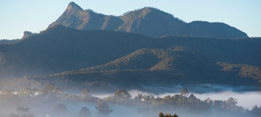 Mt Warning