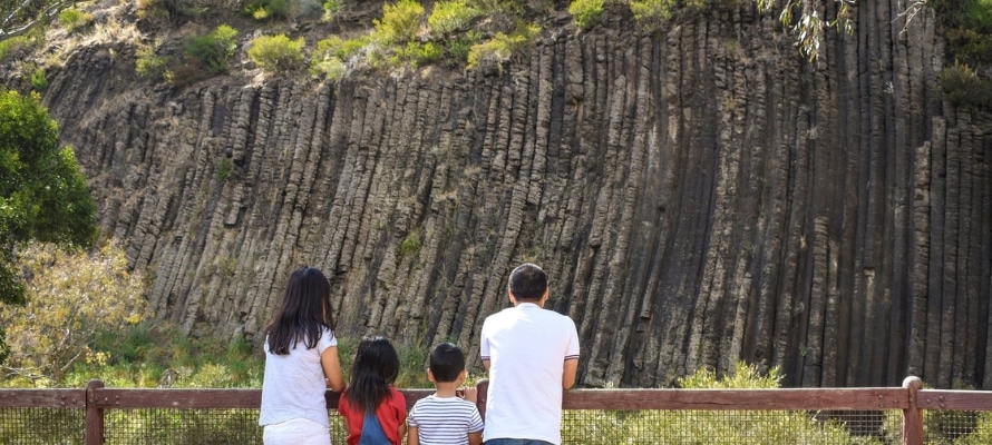 VIC Organ Pipes
