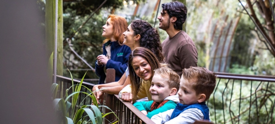 Melbourne zoo