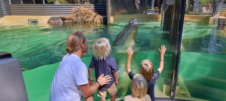 Attractions