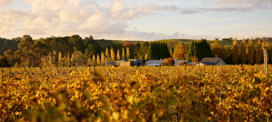 Berrima