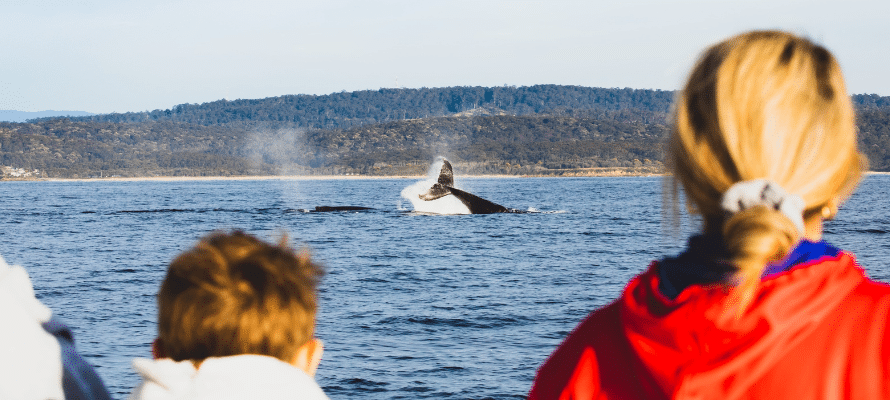 Narooma