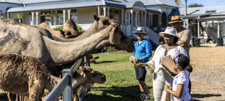 Scenic Rim