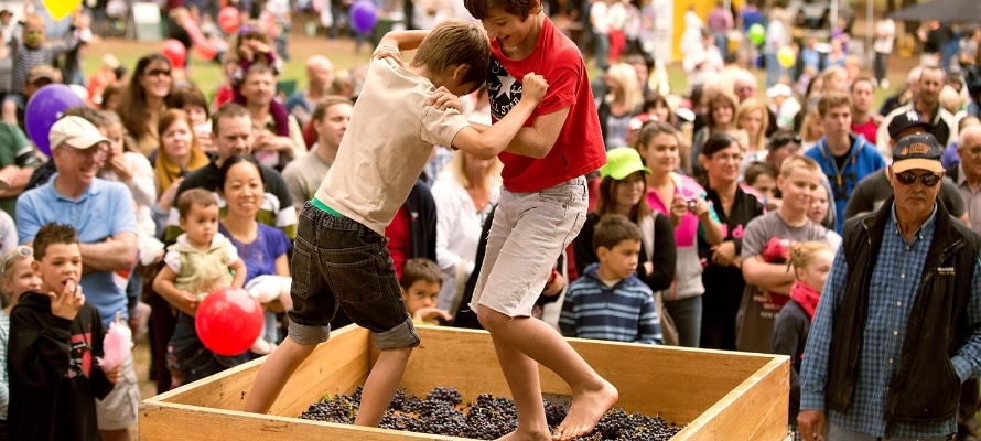 Festival